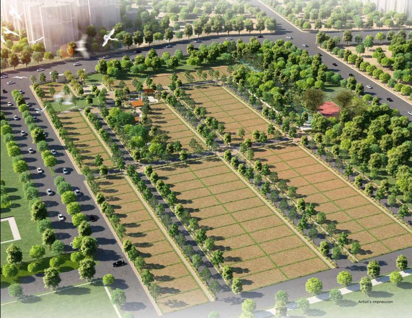 Land plots for sale